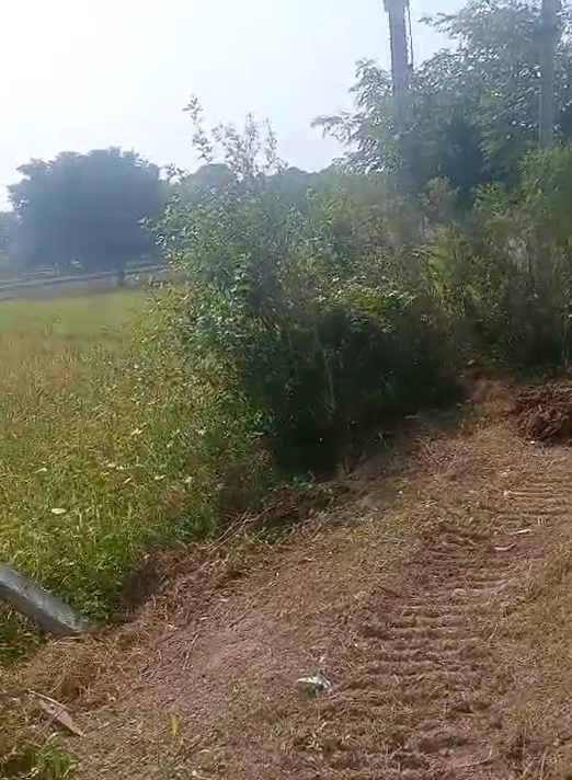 Shivali, Bulandshahr, Uttar Pradesh 203150, India - Photo 3