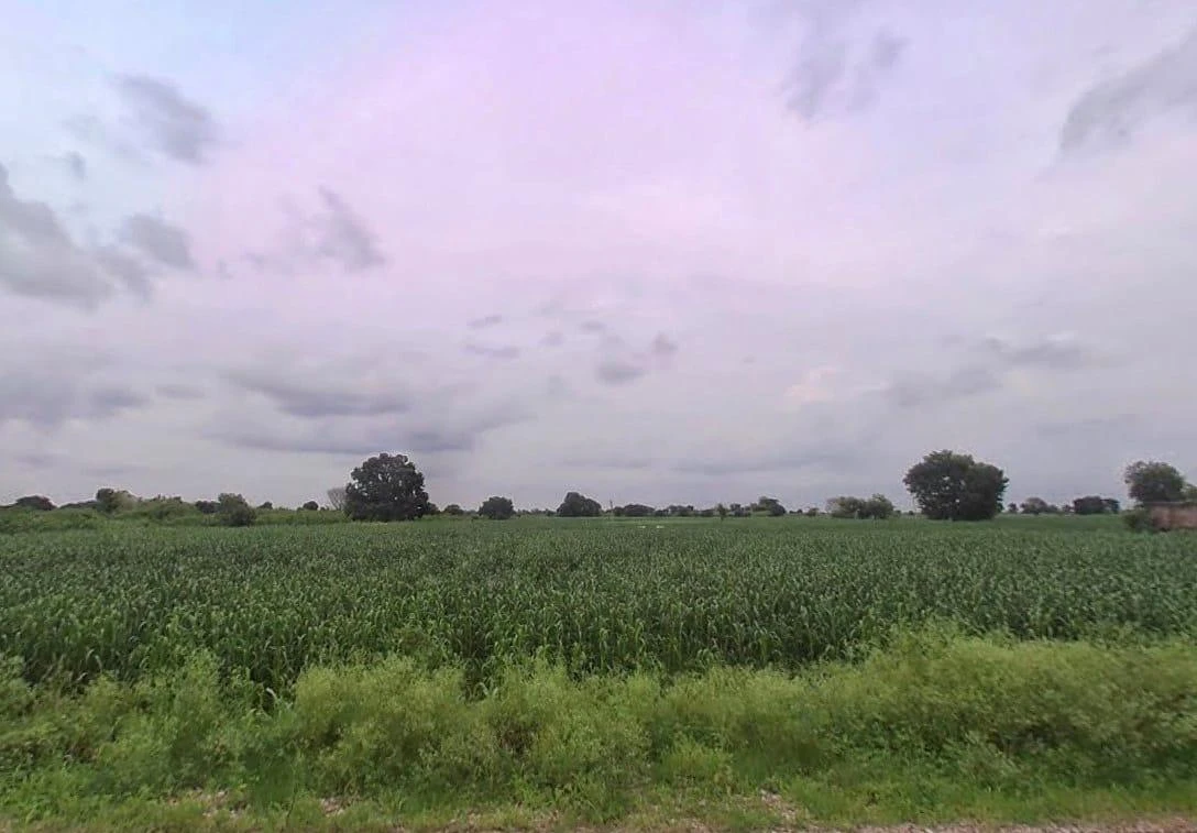 25CH+PR7, Bharatpur Rd, Weir, Rajasthan 321408, India