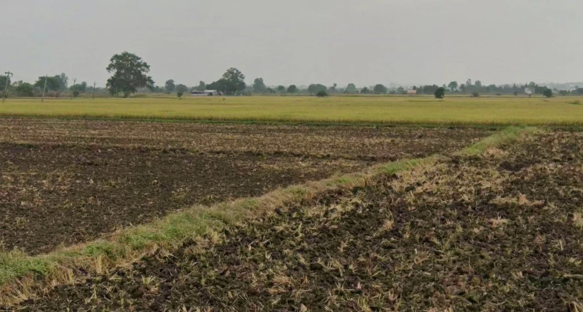 Jaitpur, Madhya Pradesh 484669, India