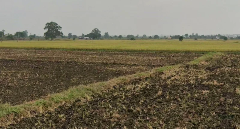 Jaitpur, Madhya Pradesh 484669, India preview 3