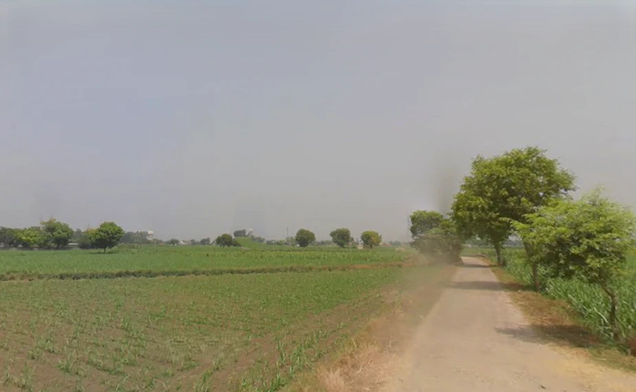 Daurala, Uttar Pradesh 250221, India