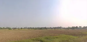 Konch, Bihar 824207, India preview 2