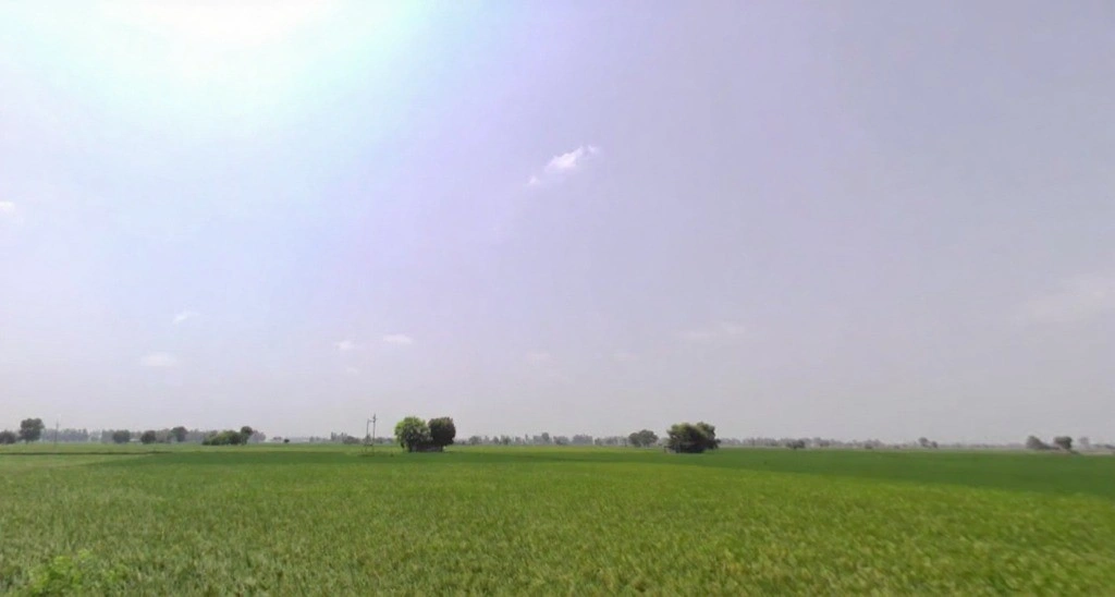 MXHW+9F2, Meerut Rd, Sector 14, Karnal, Haryana 132001, India