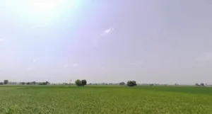MXHW+9F2, Meerut Rd, Sector 14, Karnal, Haryana 132001, India preview 3