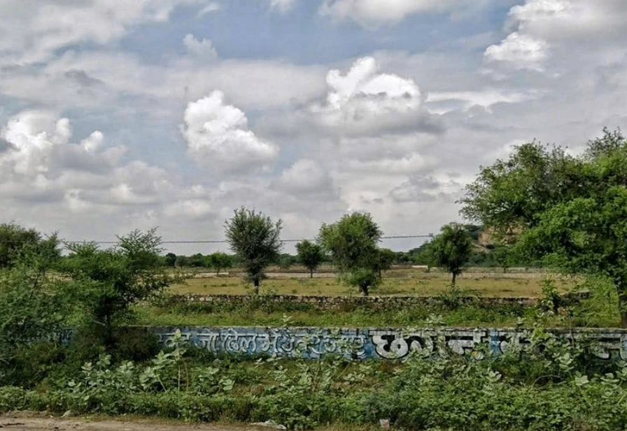 Q84P+9CW, Palu Kalan, Rajasthan 303348, India