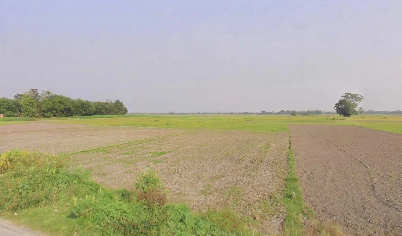 783W+3HV, Morigaon, Assam 782105, India