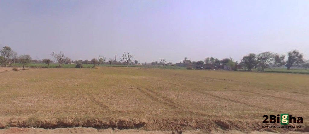 Diyatra, Rajasthan 334303, India