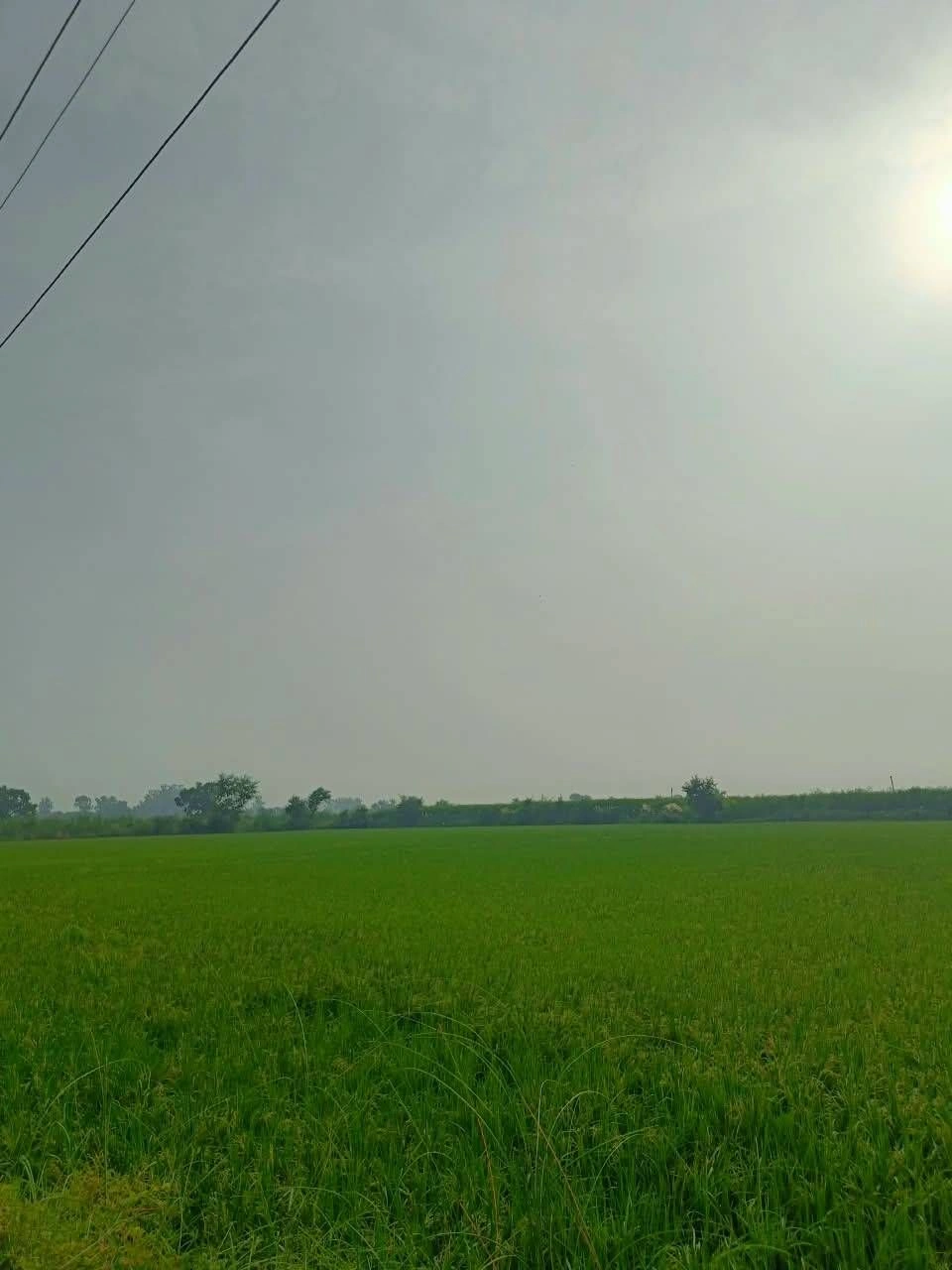 Abhaipura Banger, Mathura, Uttar Pradesh 281203, India