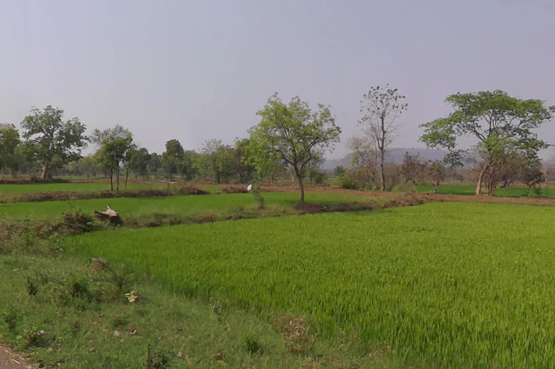 Kumhari-1, Chhattisgarh 493221, India