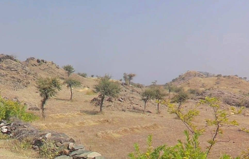 VM64+6Q, Kaloda, Rajasthan, India