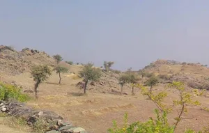 VM64+6Q, Kaloda, Rajasthan, India preview 2