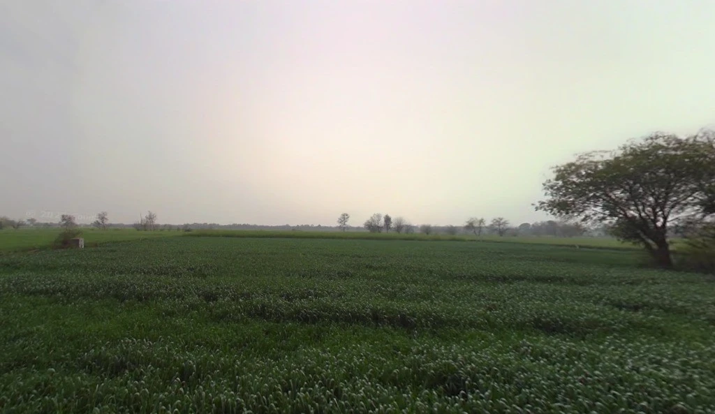 JMG6+PJ4, Jhajjar, Jhajjarrural, Haryana 124103, India