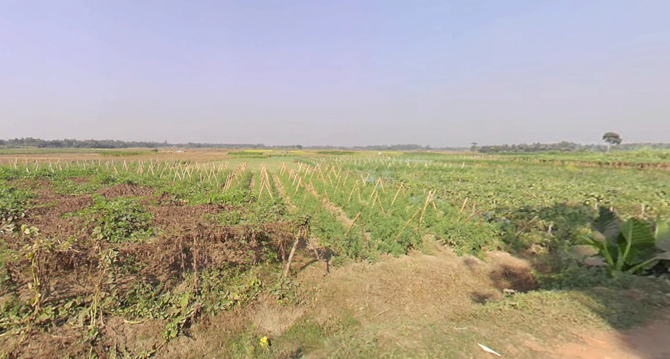 Duttapukur - Nilganj Rd, Kashim Pur, Duttapukur, Gangapur, Shibalaya, West Bengal 743248, India