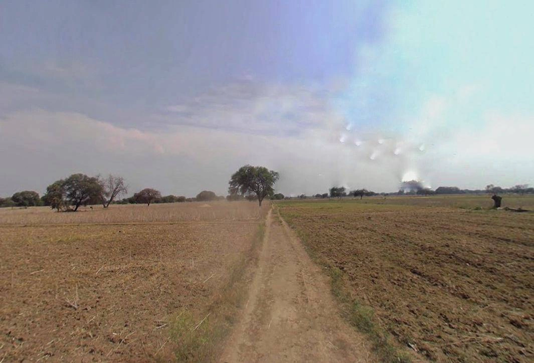 Charkhi Dadri, Haryana 127306, India