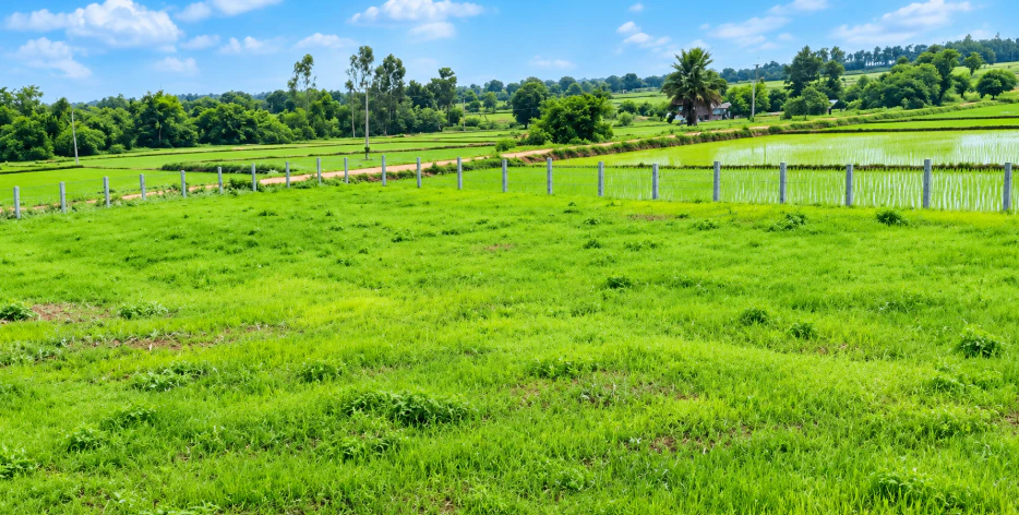 4-1, Siddipet, Kukunoorpally, Kuknurpalle, Telangana 502301, India