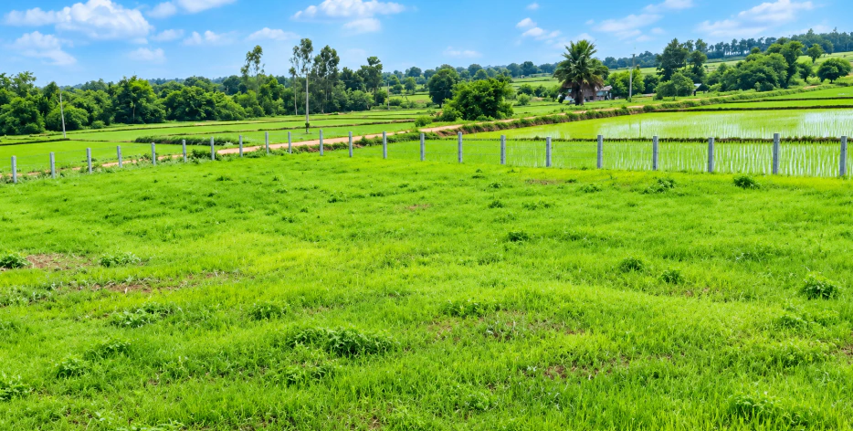 4-1, Siddipet, Kukunoorpally, Kuknurpalle, Telangana 502301, India