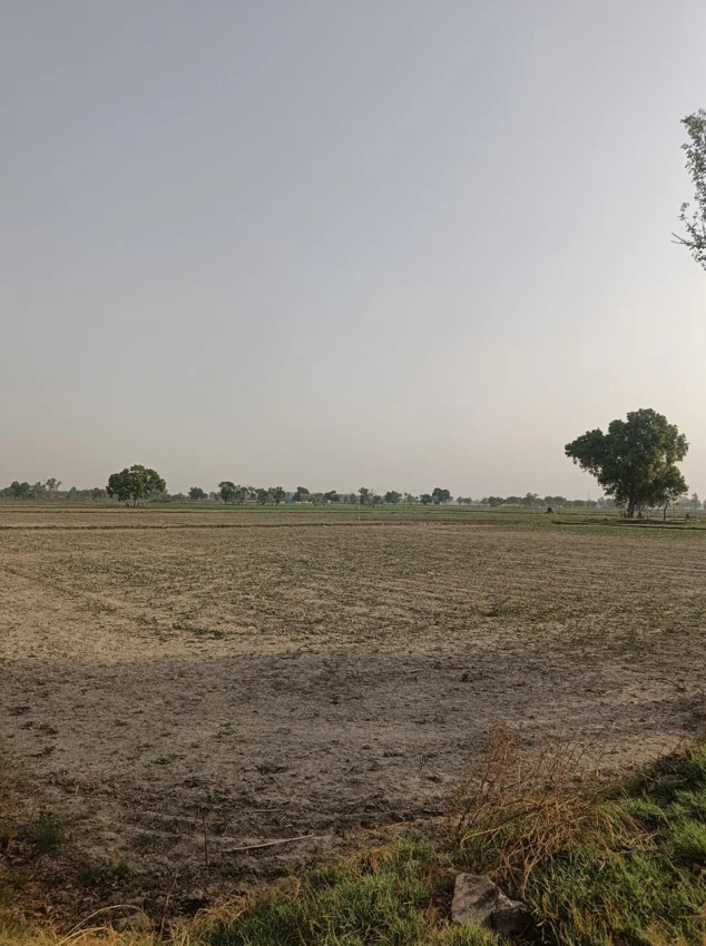 Salarpura, Haryana 132023, India