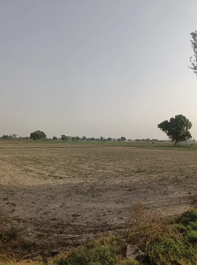 Salarpura, Haryana 132023, India preview 2
