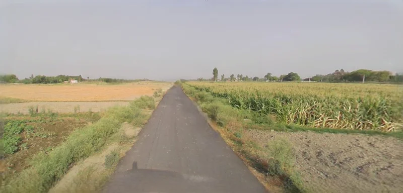 Rangia, Assam, India preview 3