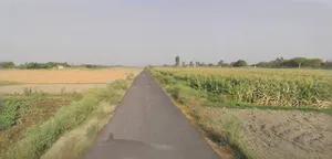 Rangia, Assam, India preview 3