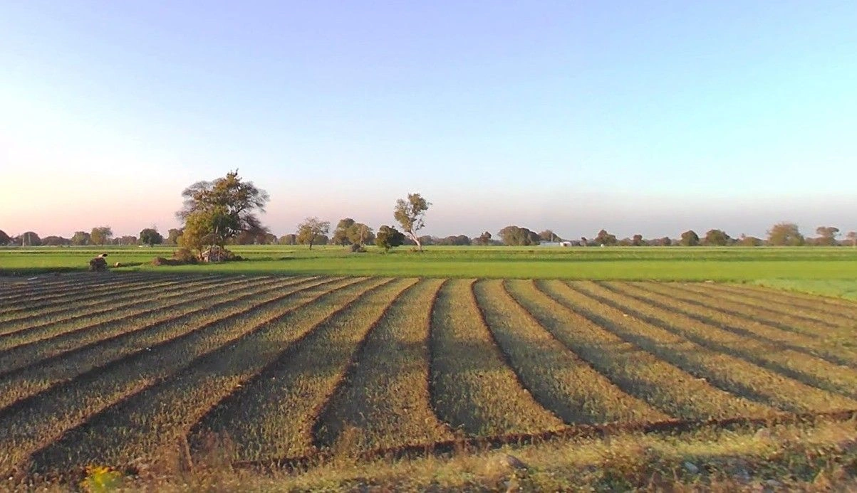 Chirula, Madhya Pradesh, India