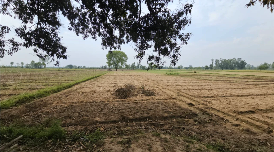 Dhurala, Haryana 136119, India