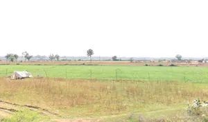 Suwarkota, Madhya Pradesh 465001, India preview 2