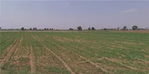 Khandiya, Gujarat 363410, India preview 2
