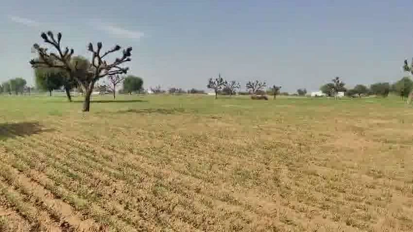 Yahiyapur, Uttar Pradesh 251201, India