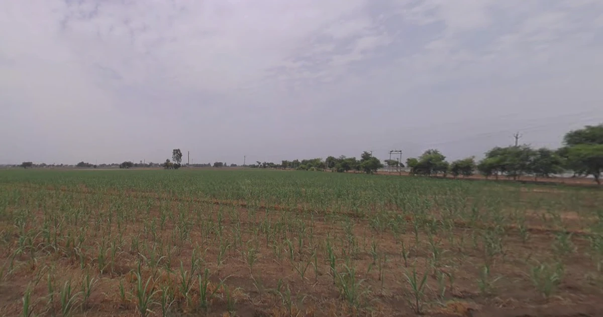 Kakarva, Gujarat 370140, India