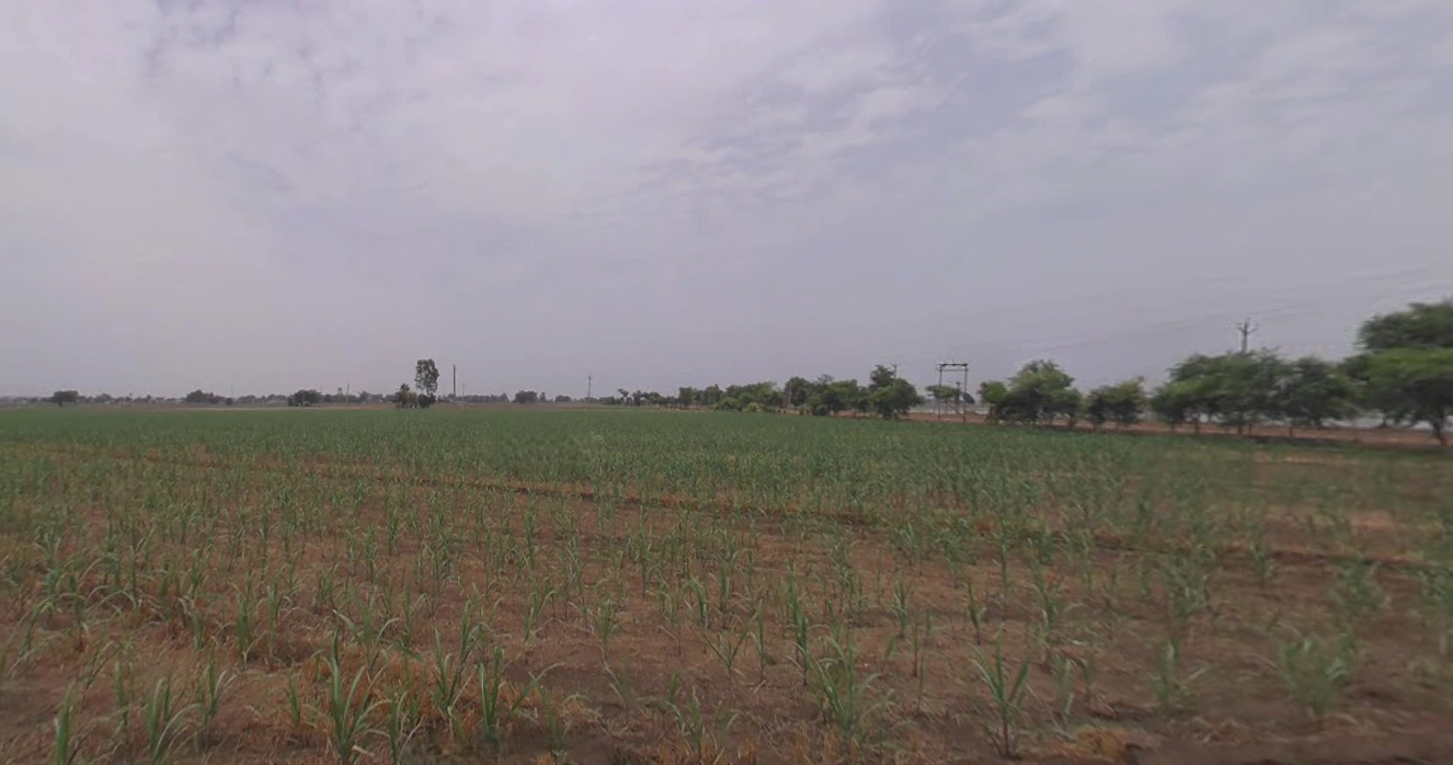 Kakarva, Gujarat 370140, India