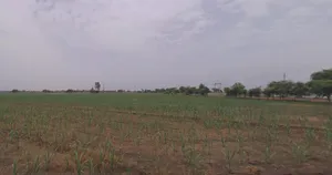 Kakarva, Gujarat 370140, India preview 3