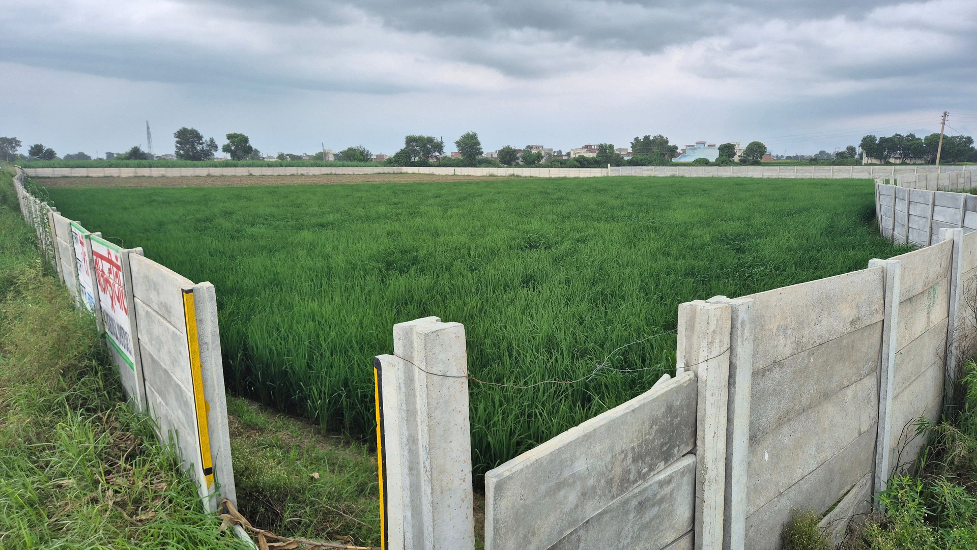 PJ8C+RR6, Partapur, Uttar Pradesh 245304, India