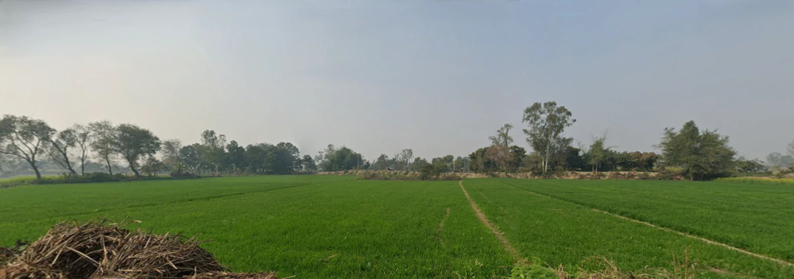 Raipur, Uttar Pradesh 247121, India