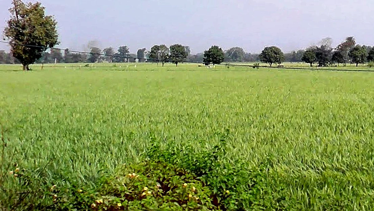 Ujjainiya, Madhya Pradesh 456006, India