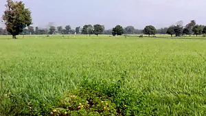 Ujjainiya, Madhya Pradesh 456006, India preview 3