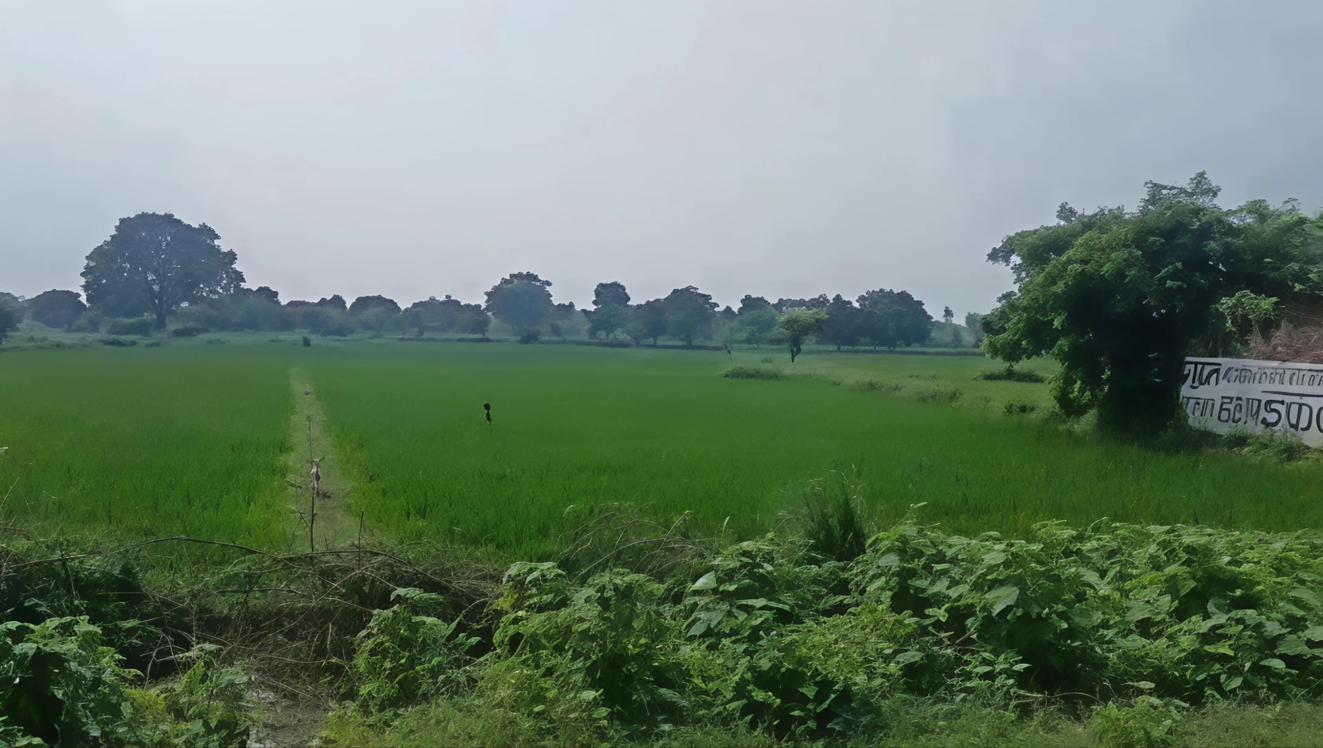 Maurawan, Uttar Pradesh, India