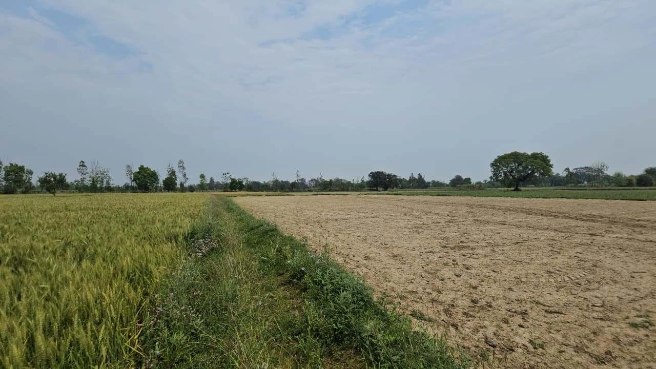 995H+PQF, Darbarpur, Uttar Pradesh 246733, India preview 2