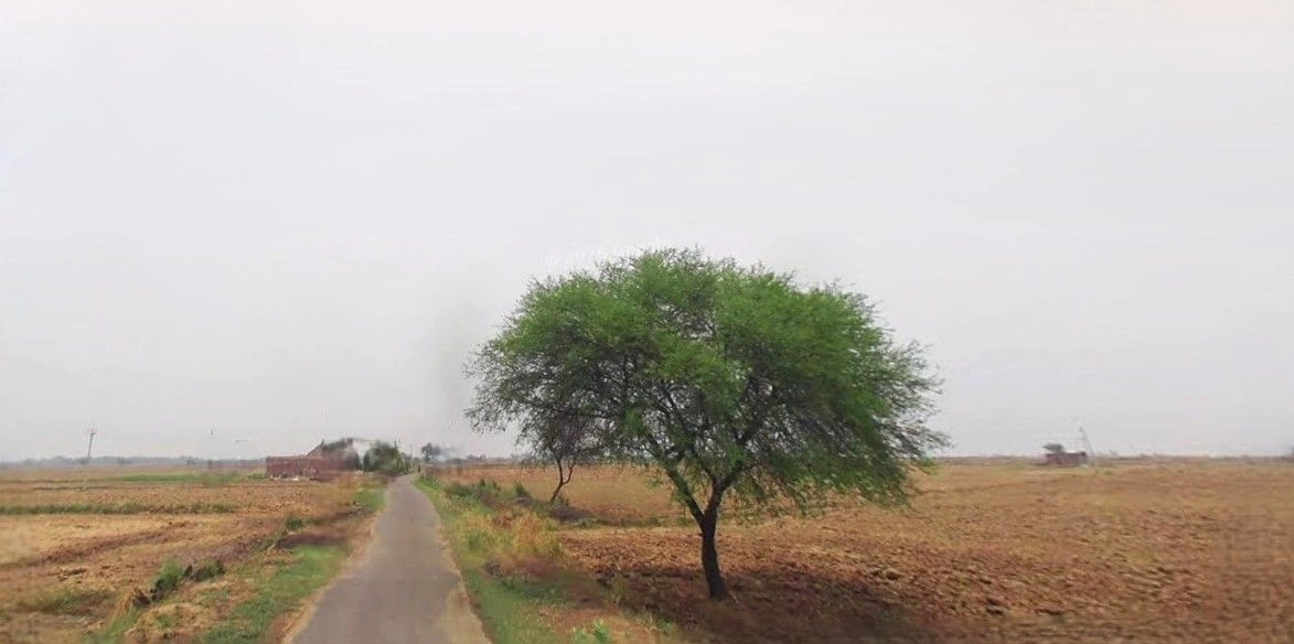 Puranpur, Uttar Pradesh 262122, India