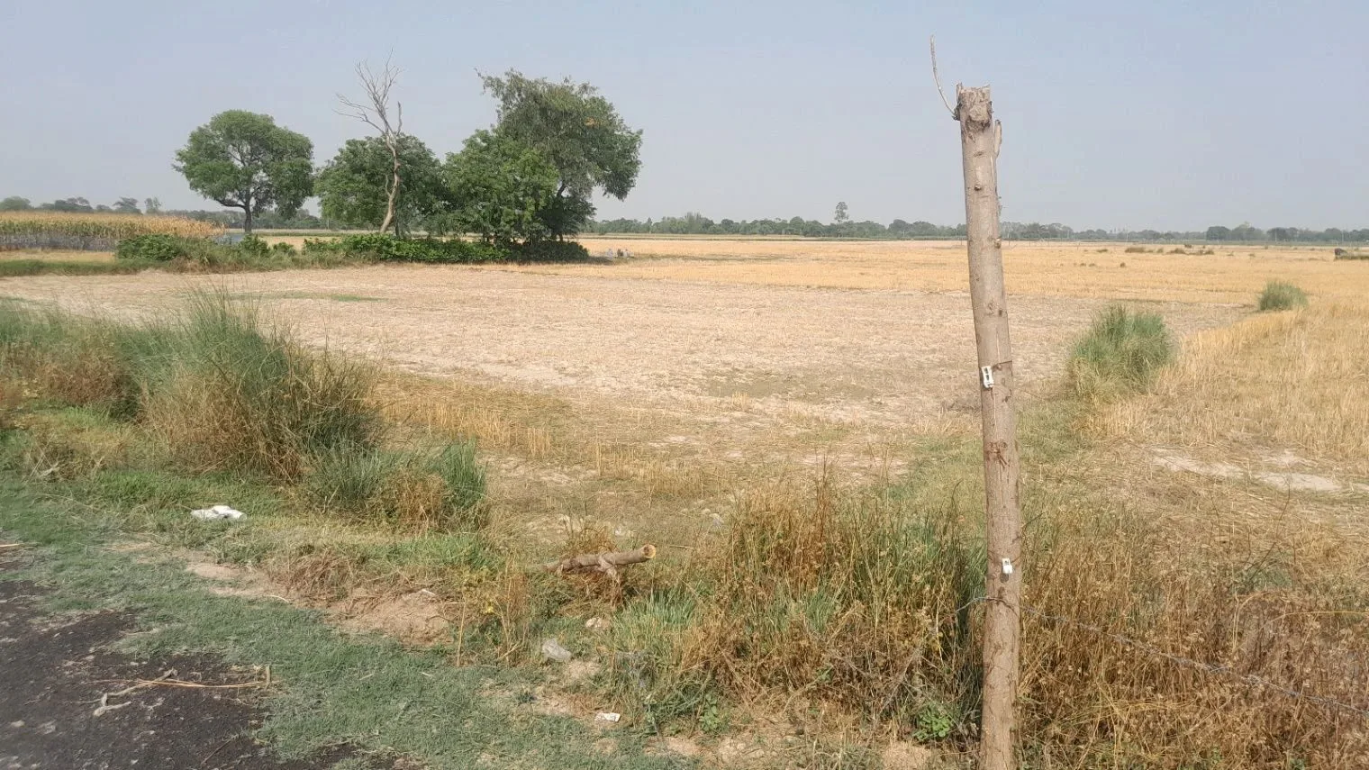 H2PR+F69, Rewati Ganj - Bikapur Rd, Aadil Pur, Uttar Pradesh 224208, India