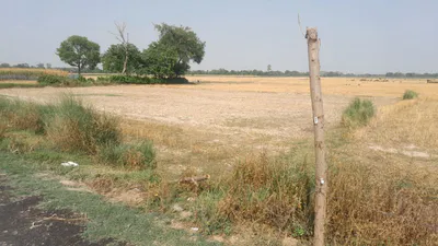 H2PR+F69, Rewati Ganj - Bikapur Rd, Aadil Pur, Uttar Pradesh 224208, India preview 2