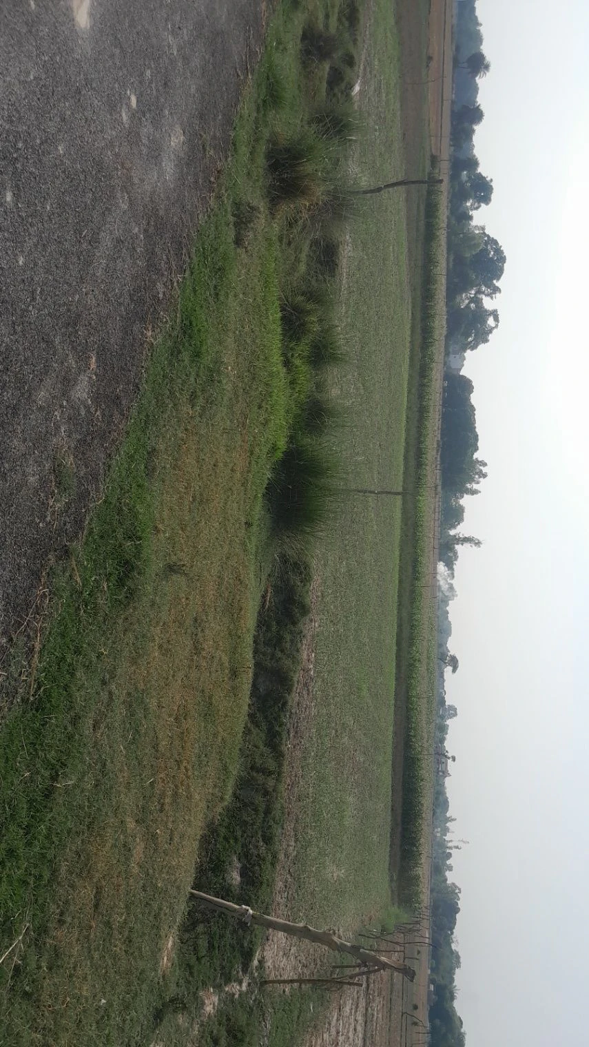 P5M8+P7 Chandpur Harbanshpur, Uttar Pradesh, India