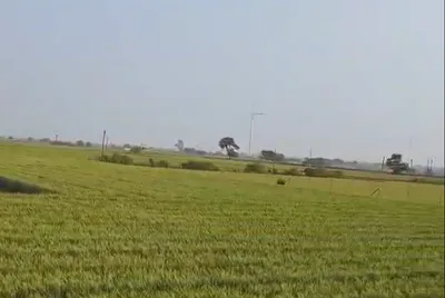 Funga, Anuppur, Madhya Pradesh 484224, India preview 2
