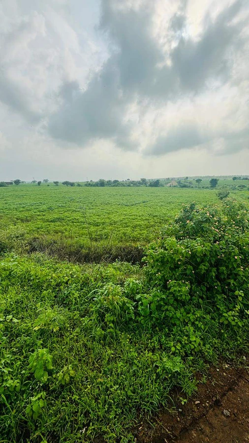 Budha Kheda, Madhya Pradesh, India