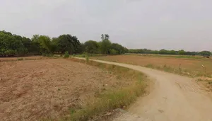 Mahoba, Uttar Pradesh 210427, India preview 4
