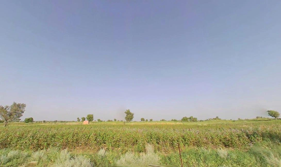 Birdhwal, 2 Mc, Rajasthan 335805, India