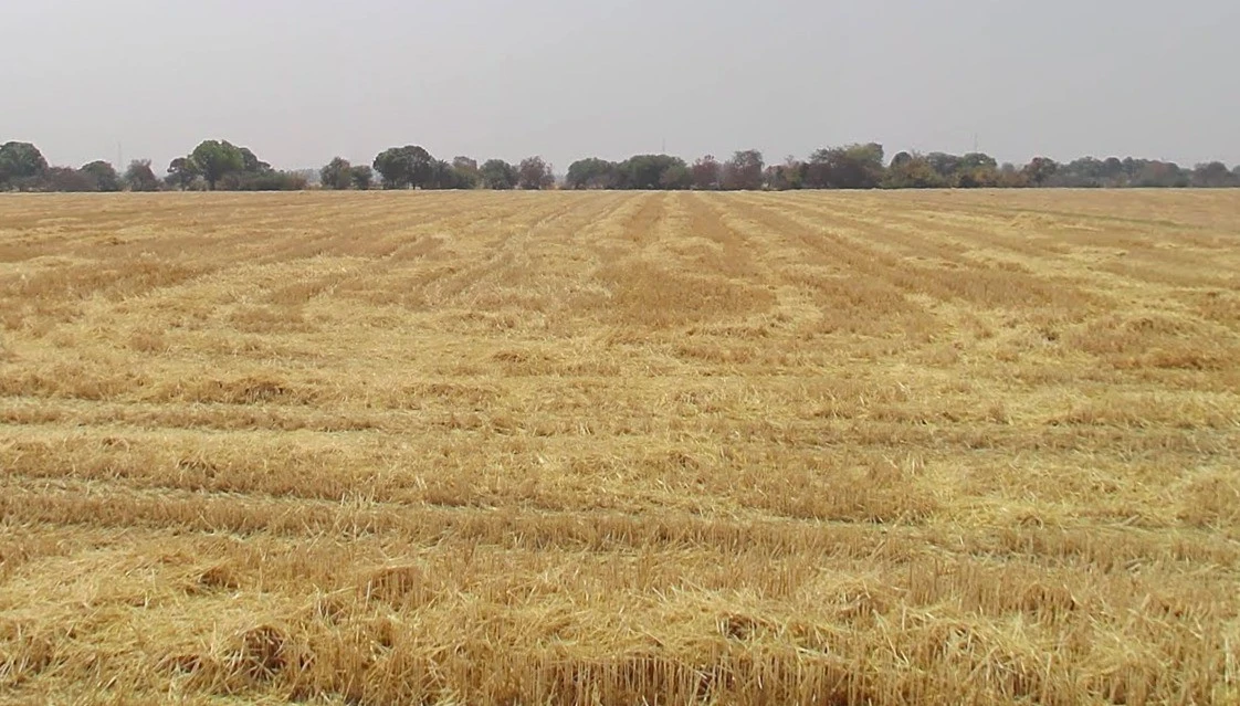 7RJM+5M4, Nagjhri, Madhya Pradesh 451220, India