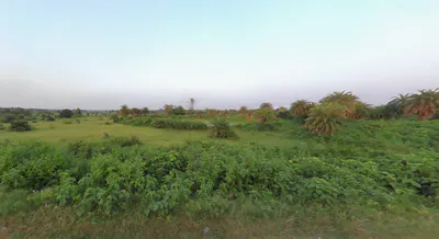 Godardihi, West Bengal 722203, India preview 2