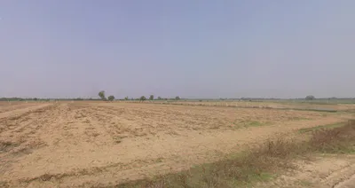 Vithalpur, Gujarat, India preview 3