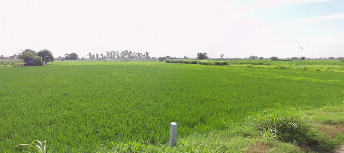 Behram, Punjab 144504, India